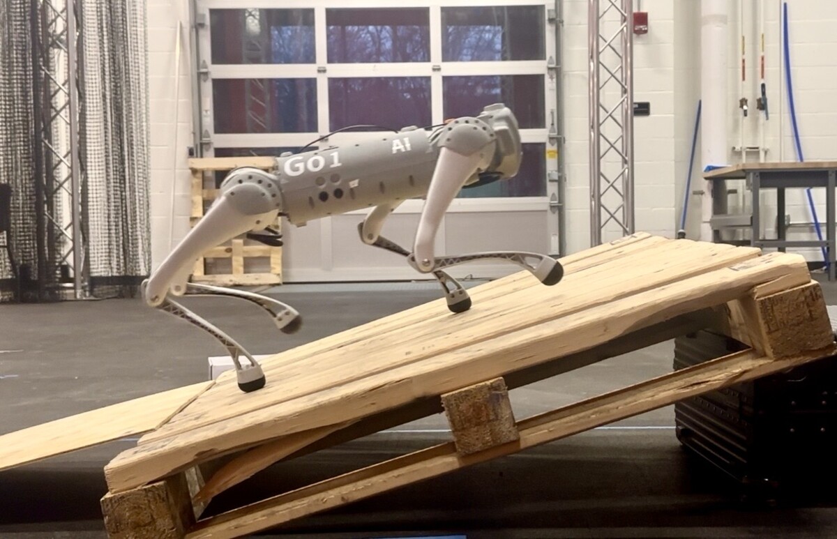 Physical Unitree Go1 quadruped climbing an inclined wooden pallet during sim-to-real testing.